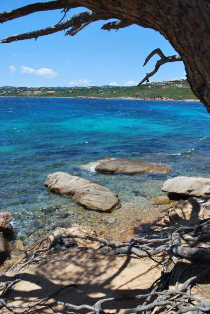 Palombaggia, Porto Vecchio DSC_0128 copia