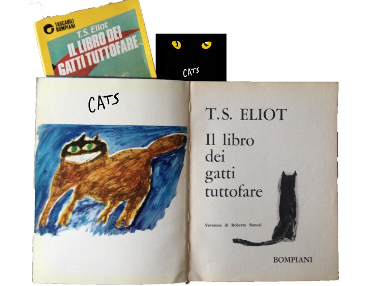 libro gatti mammaoca