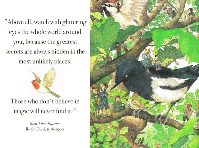 the-minipins-roald-dahl