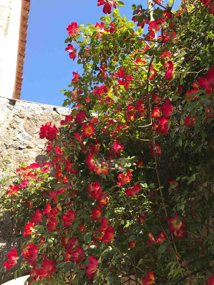 colori di casa rosso con muro