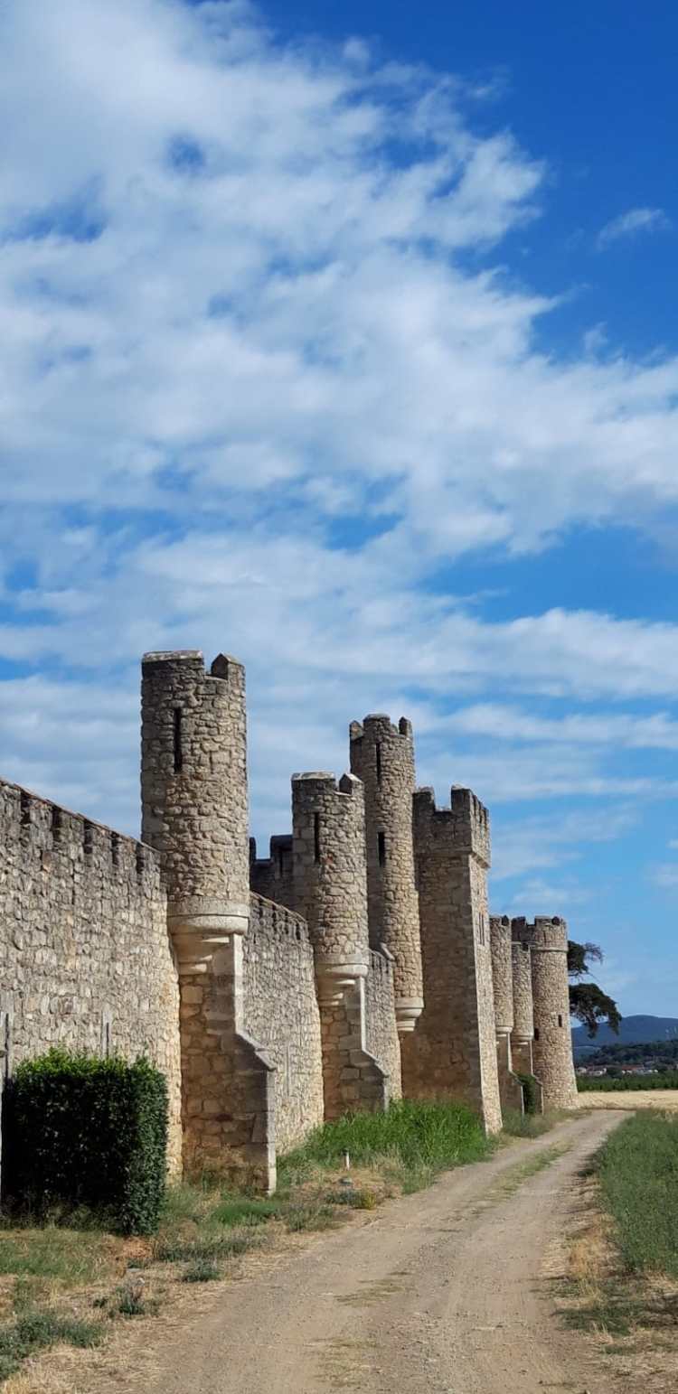 8977349b-5aef-4256-8be9-229862c135ae