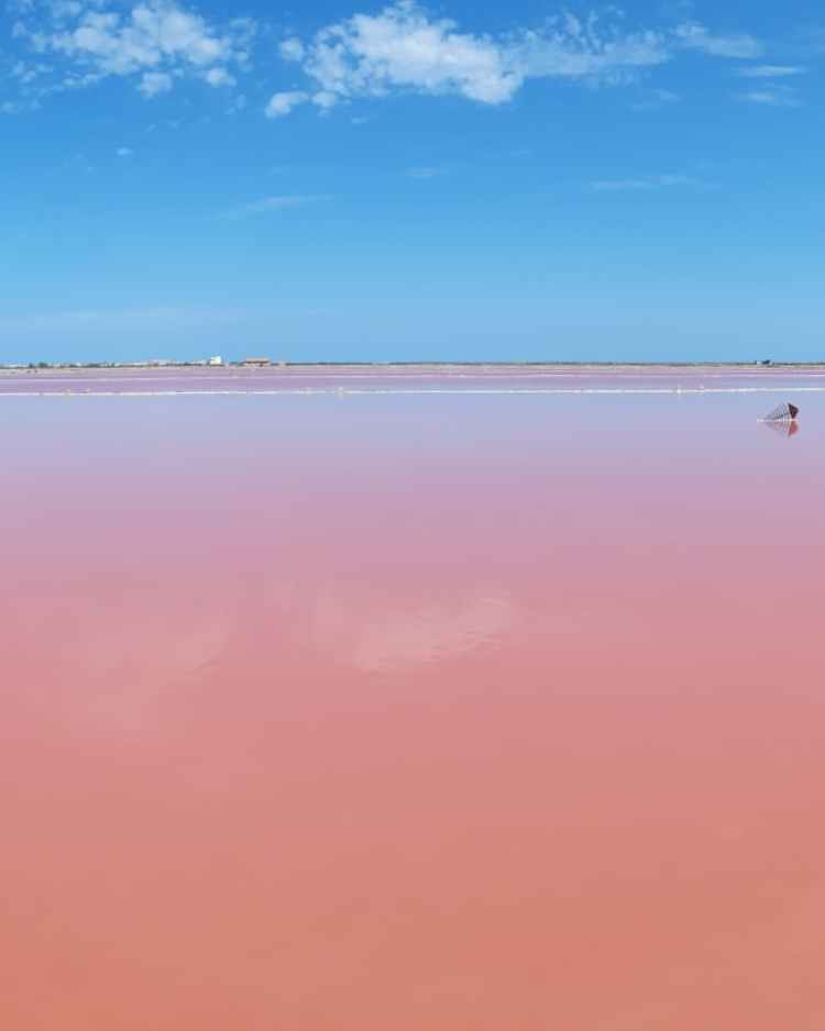 PHOTO-2019-10-03-10-53-53[3]