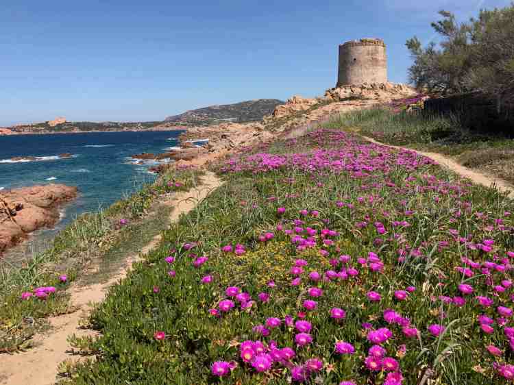 torre isola rossa
