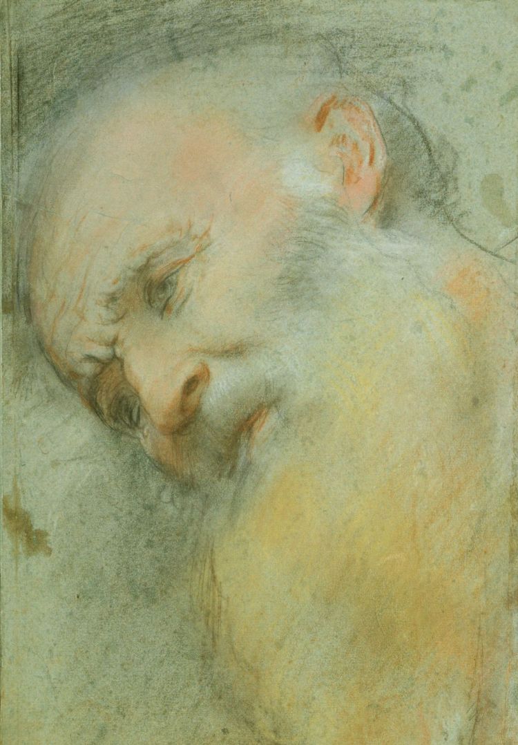 Testa_di_Anchise_-_Barocci