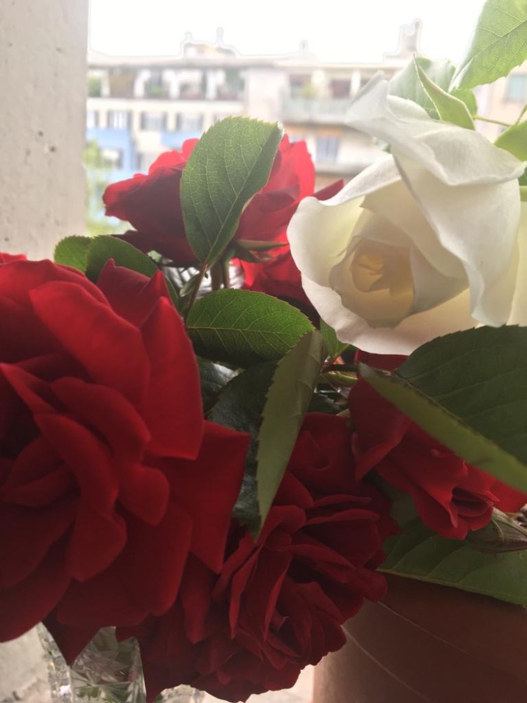 a0d28b8e-4dbf-4283-aa51-3885a03ebb1b