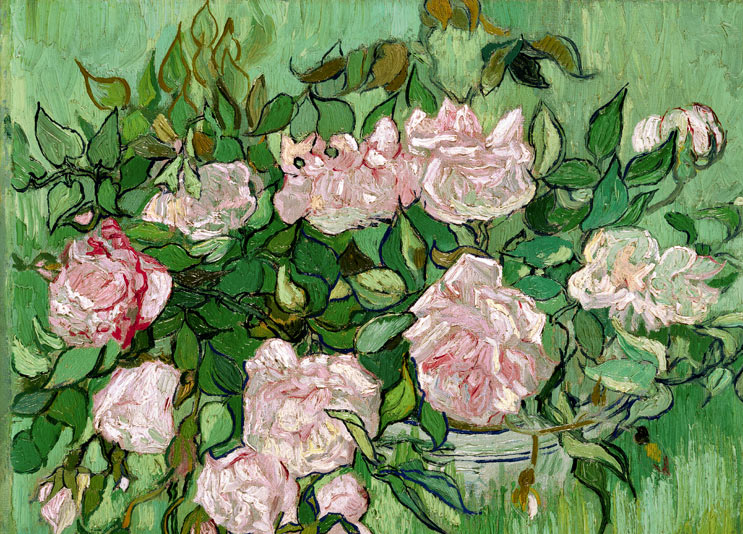 #10cose di rose. Fiabe, libri, profumi e una sorpresa dalla Madonna di ...